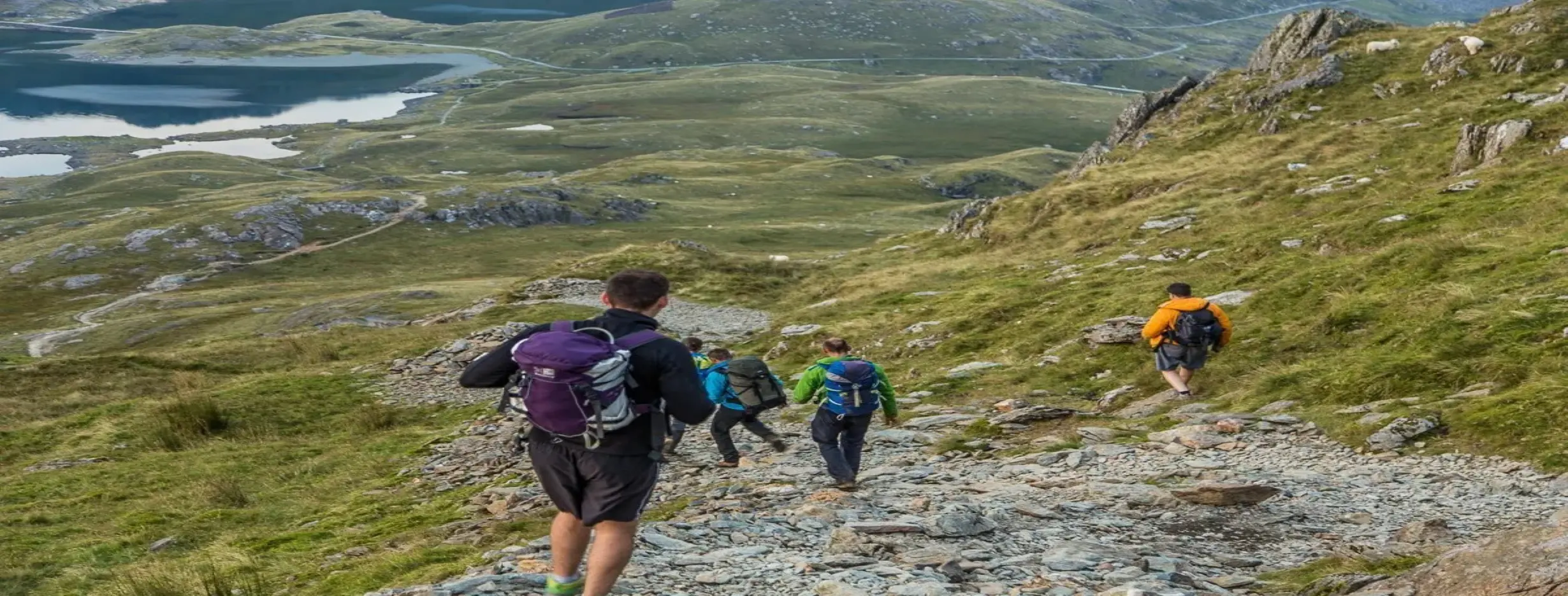 Image for Snowdonia Hiking